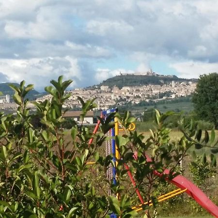 B&B La Gioiosa Assisi Eksteriør billede