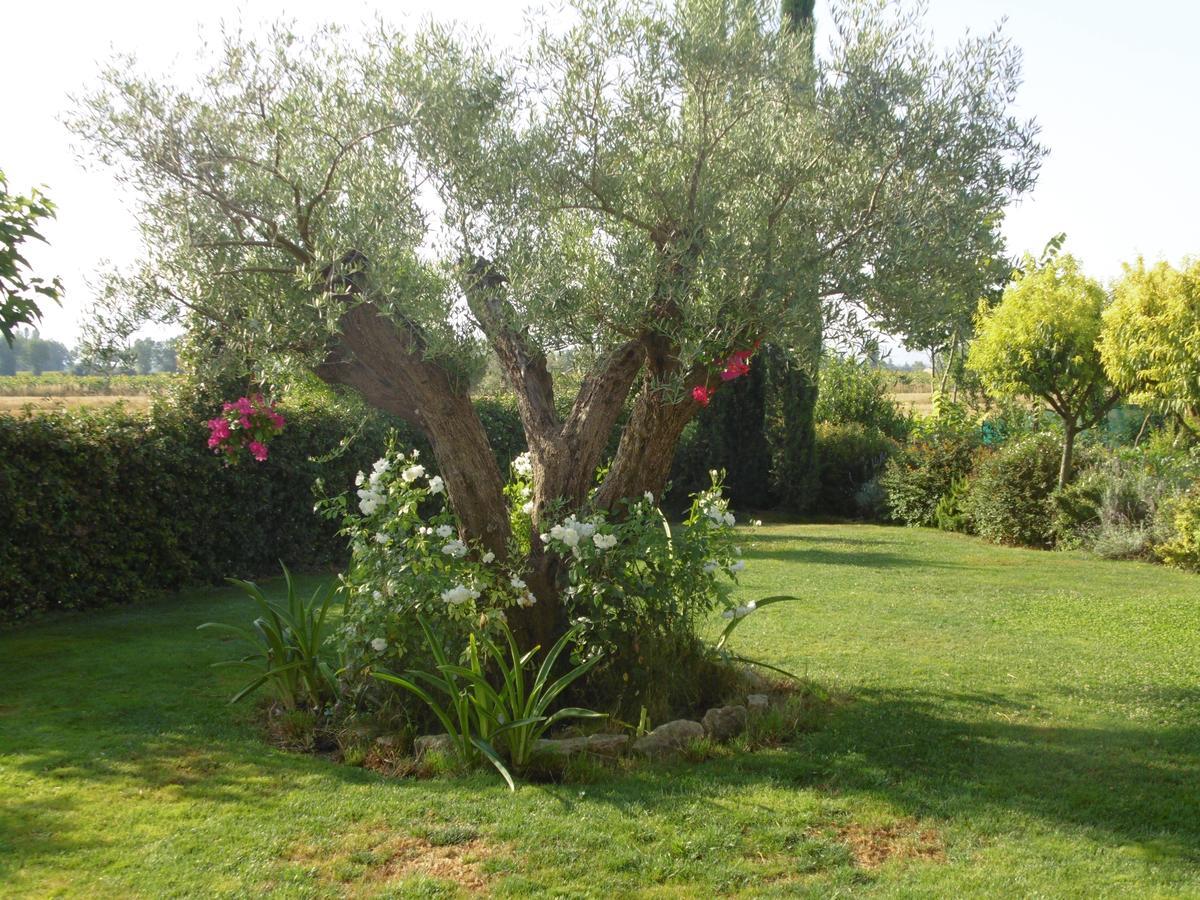 B&B La Gioiosa Assisi Eksteriør billede