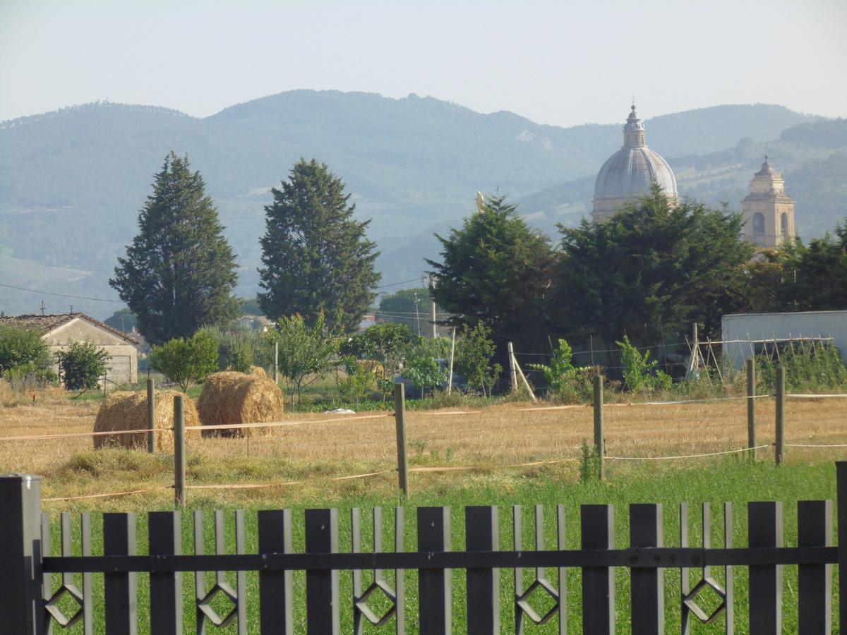 B&B La Gioiosa Assisi Eksteriør billede
