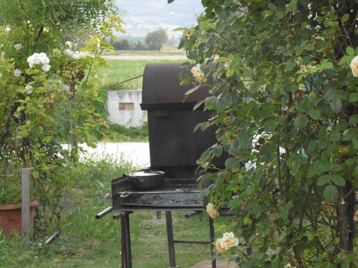 B&B La Gioiosa Assisi Eksteriør billede