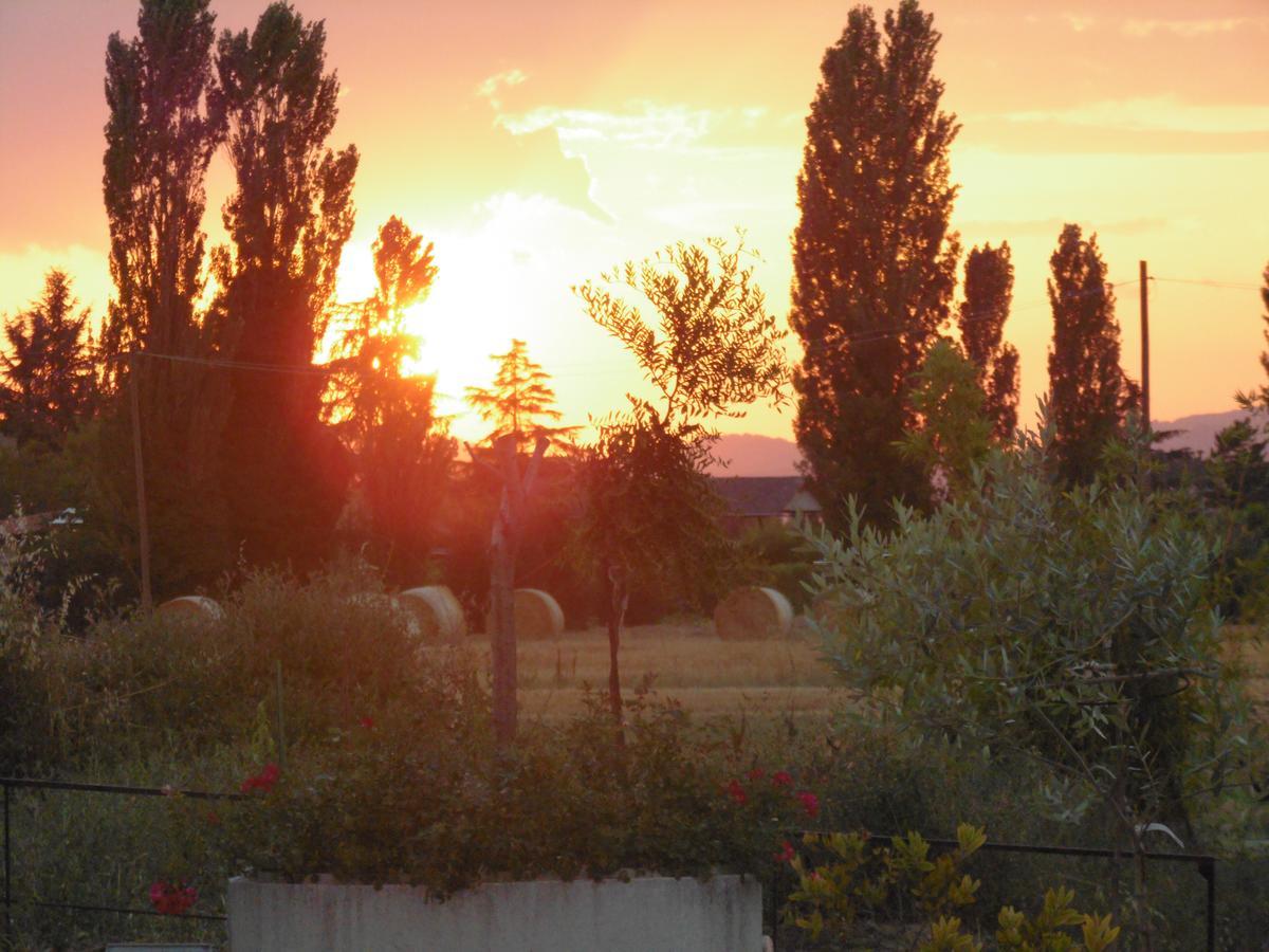 B&B La Gioiosa Assisi Eksteriør billede